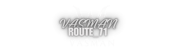 Vasman_ROUTE_71